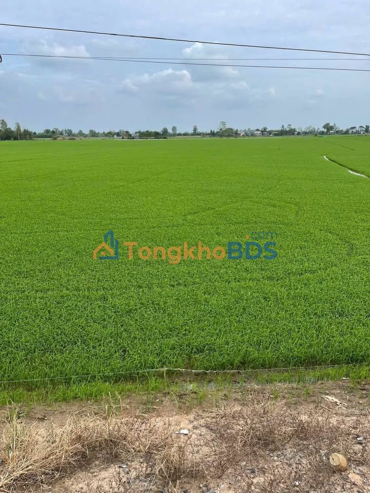 Đất nền Cao Lãnh 720m² giá 300 triệu - Đường to ô tô