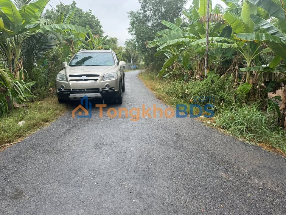 Đất nền Tân Công Chí 256m² 250 triệu - Sổ hồng chính chủ