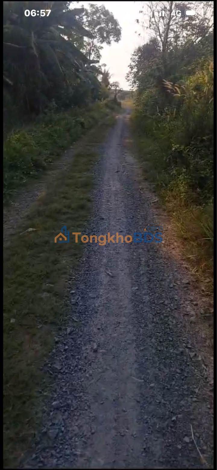 Đất vườn Long Hoa 3.720m² thỏa thuận - Đầu tư dài hạn