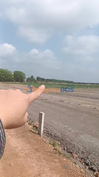 Đất Tân Hội Tân Châu 1.000m² 225 triệu - Sổ đỏ