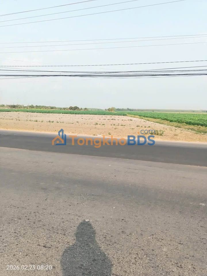 Đất nền ĐT781 Xã Phan 16.000m² Tây Ninh - Đường to ô tô