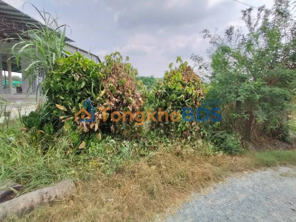 Đất nền Trảng Bàng 200m² 800 triệu - Tiềm năng tăng giá