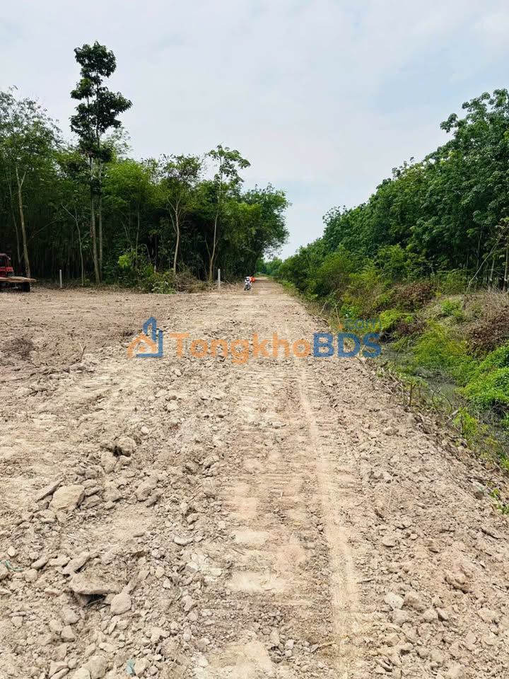 Đất nền Ninh Thạnh Tây Ninh 2.000m² 650 triệu - Sổ đỏ chính chủ