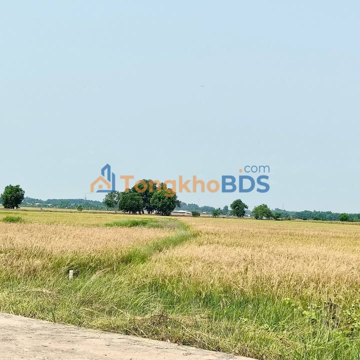 Đất nền Châu Thành Tây Ninh 2.4 công 550tr - Sổ đỏ chính chủ