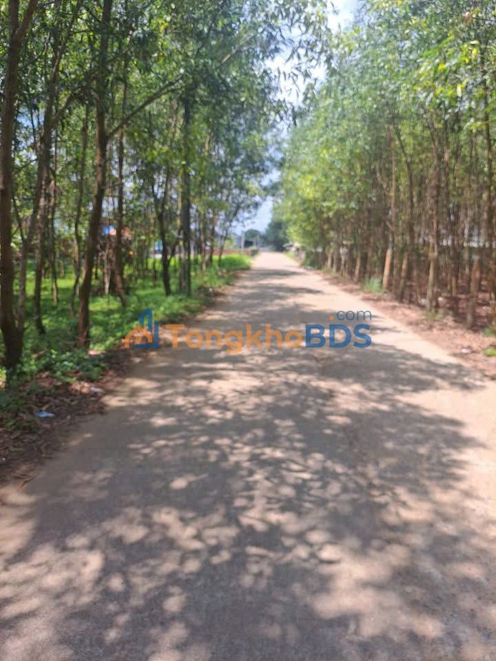 Đất nền Bình Hải Quảng Ngãi 760m2 600-699tr - Đường to ô tô