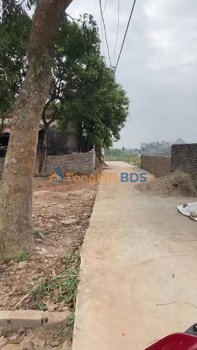 Đất nền Đoan Bái Hiệp Hòa 157m² 600 triệu - Sổ hồng chính chủ