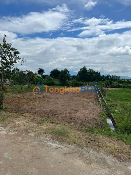 Đất nền Buông Lác Ninh Tây 305m² 480tr - Sổ đỏ chính chủ