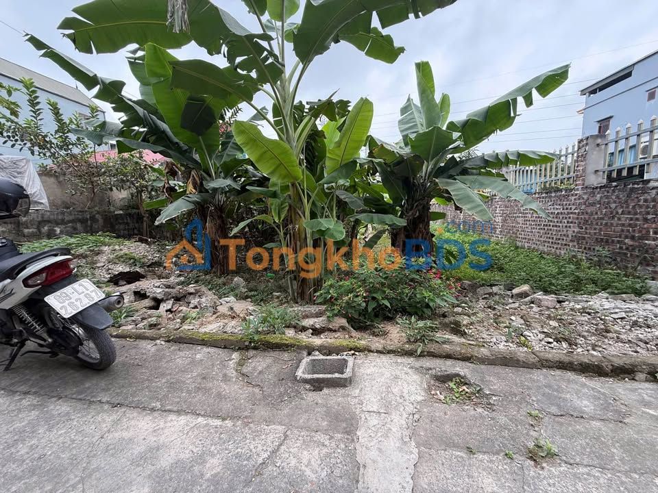 Đất nền Phong Cốc Mỹ Hào 104m² 2 tỷ - Tiềm năng tăng giá