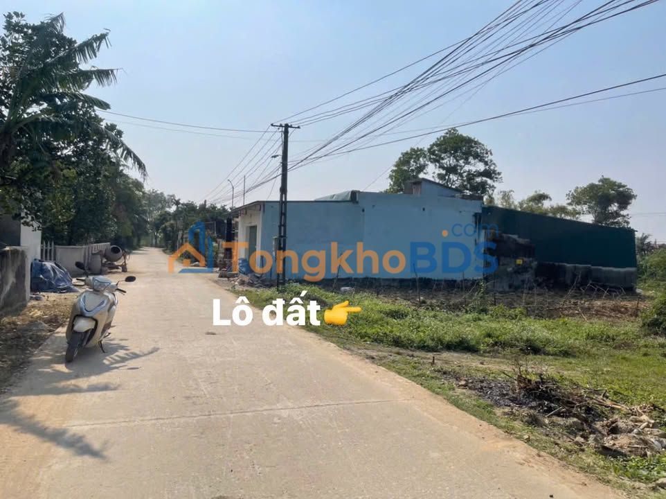 Đất nền Hậu Lộc 196m² 900 triệu - Sổ đỏ chính chủ