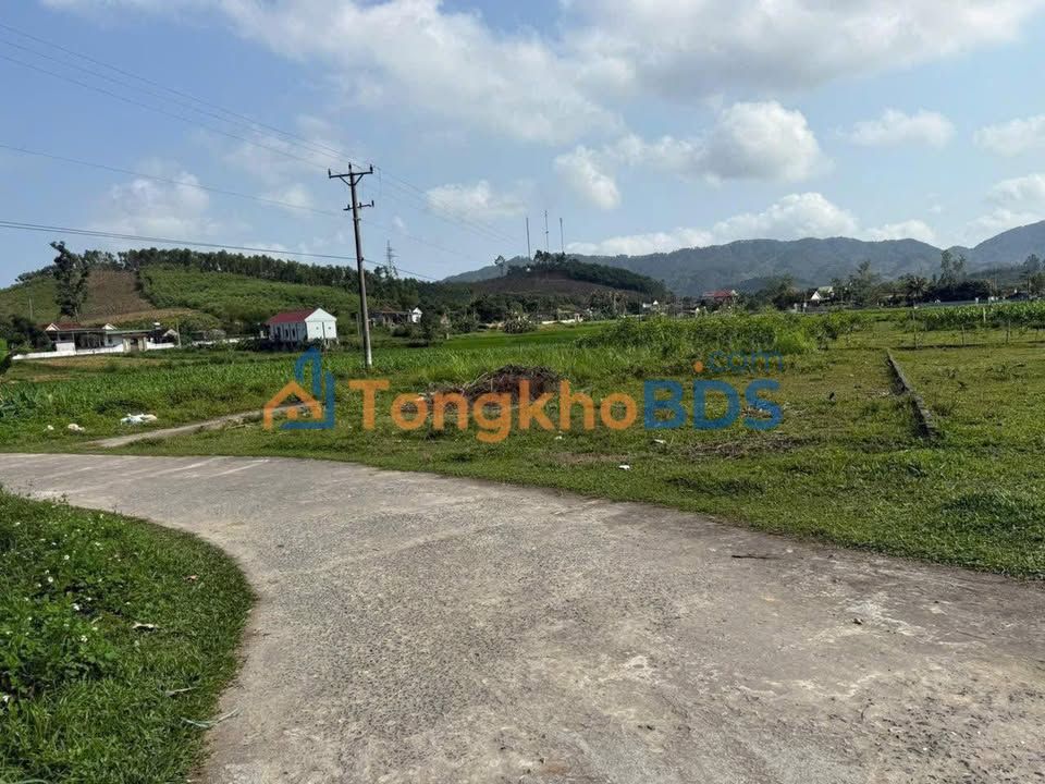 Đất nền Nam Hưng Nam Đàn 208m² 6xx triệu - Đường to ô tô