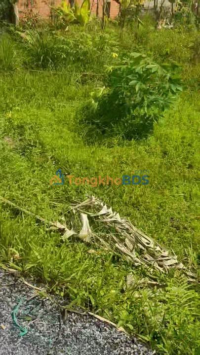 Đất nền Trường Long Tây, Cần Thơ 750 triệu - Tiềm năng tăng giá