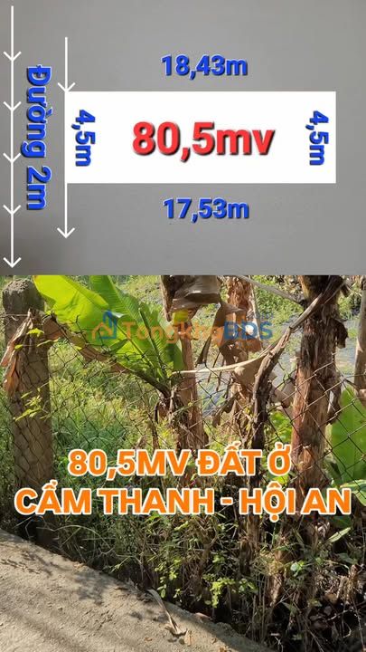 Đất nền Cẩm Thanh Hội An 81m² - Tiềm năng tăng giá