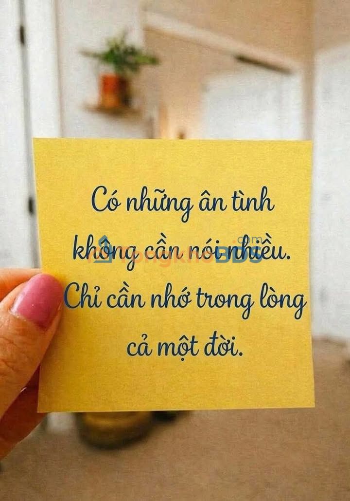 Đất nền Nhơn Khánh An Nhơn 88m² 300-399 triệu - Tiềm năng tăng giá