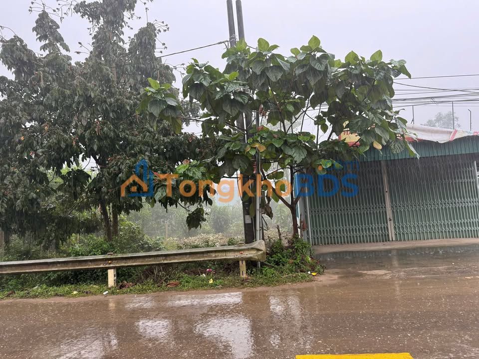 Đất nền Thanh Sơn 350m² Phú Thọ - Sổ đỏ chính chủ