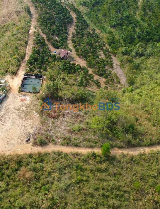 Đất nền Đắk Som Đắk Glong 400m² - Đường ô tô vào tận nơi