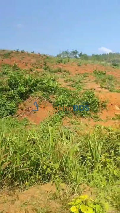 Đất nền Trường Xuân Đắk Song 2.7 tỷ - Tiềm năng tăng giá