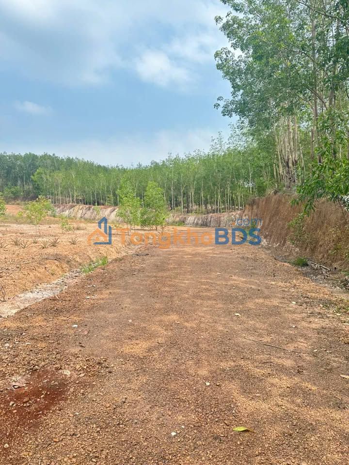 Đất Ấp 6 Tân Tiến 684m² giá 4xx triệu – Sổ đỏ riêng, xây dựng tự do