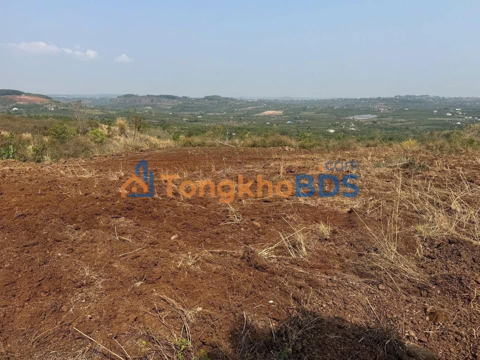 Đất vườn Đắk R'La Đắk Mil 879 triệu - Sinh thái xanh