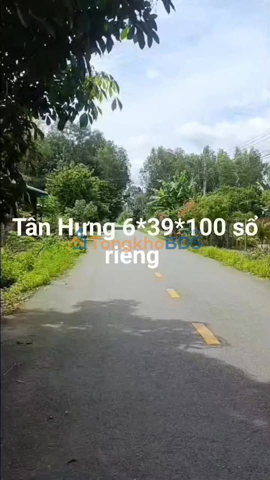 Bán Đất Nền 234m² Sổ Hồng Riêng - Tân Hưng, Thuận An, Bình Dương - Giá 1.25 Tỷ