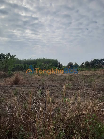 Bán Đất Sổ Hồng Riêng 500m² Nhựa An Bình, Dĩ An - Giá Tốt