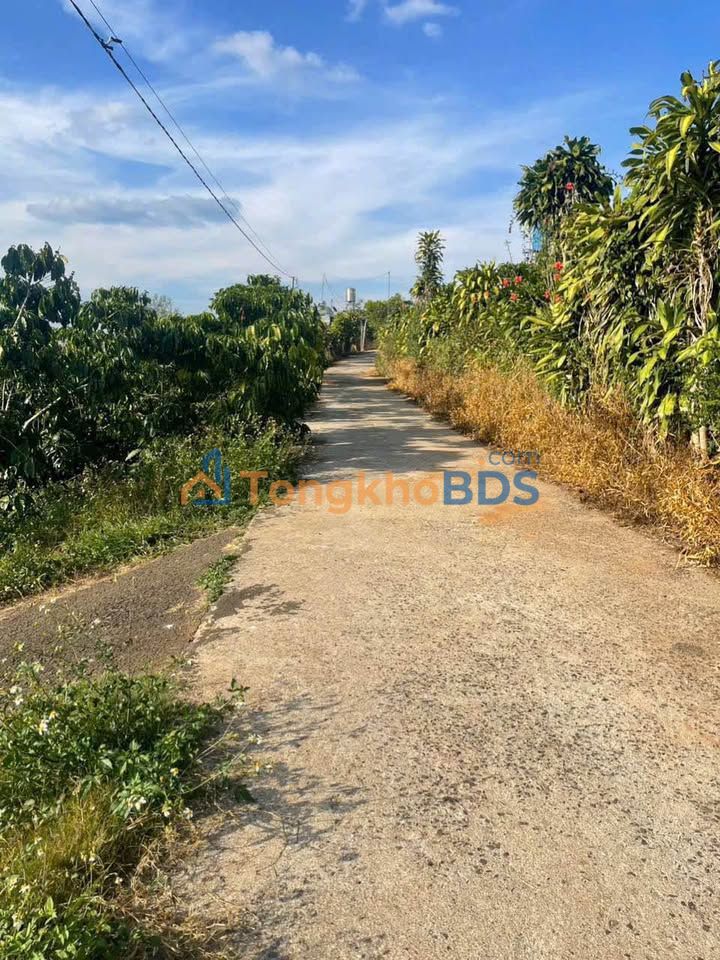 Đất nền Bảo Lộc Trần Nhật Duật 576m² 2.1 tỷ - Thổ cư 100%