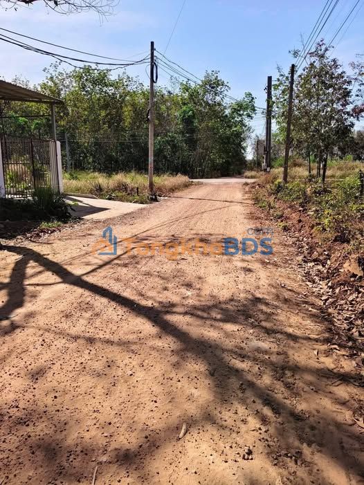 Đất nền Phước Hòa Phú Giáo 790m² 2 tỷ - Đường to ô tô