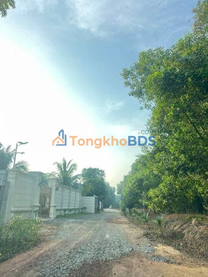 Đất nền Hòa Lợi Bến Cát 80m² giá 1.5 tỷ - Sổ đỏ chính chủ