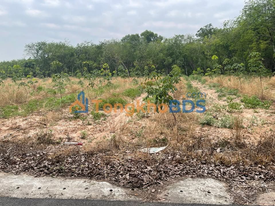 Đất nền Thới Hòa Bến Cát 370m² 1 tỷ - Đường to ô tô