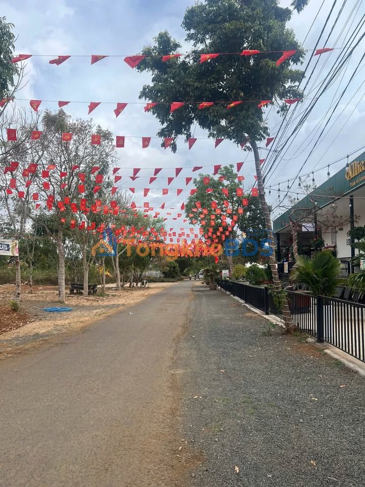 Đất nền Quy Nhơn Âu Cơ 300m² 1.8 tỷ - Tiềm năng tăng giá