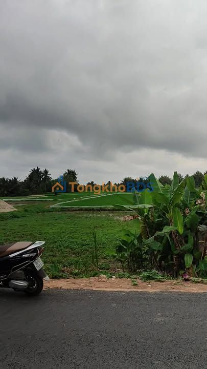 Đất nền Thanh Hóa Nga Sơn 98m² 1.2 tỷ - Đường ô tô