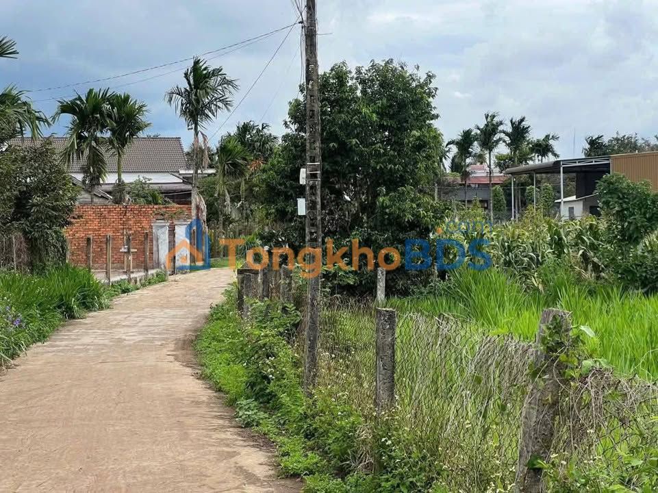 Đất nền Ea Phê 192m² 700-799 triệu - Tiềm năng tăng giá