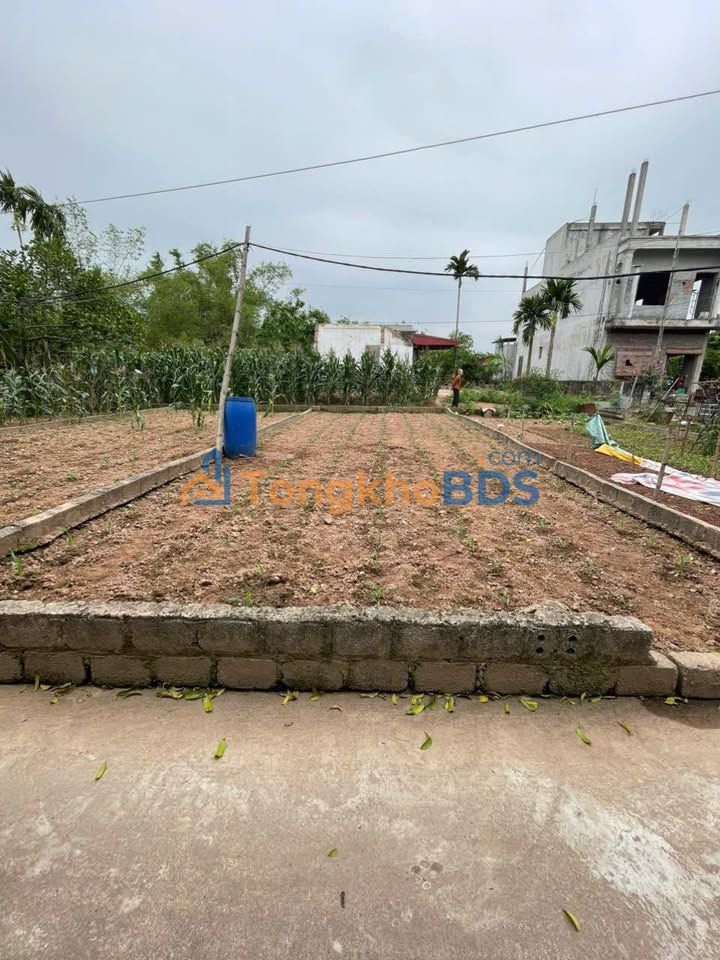 Đất nền Phú Thịnh Kim Động 64m² dưới 1 tỷ - Sổ đỏ