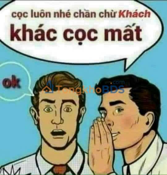 Đất nền Cao Xanh Hạ Long 82m² 1.8 tỷ - Sổ đỏ chính chủ