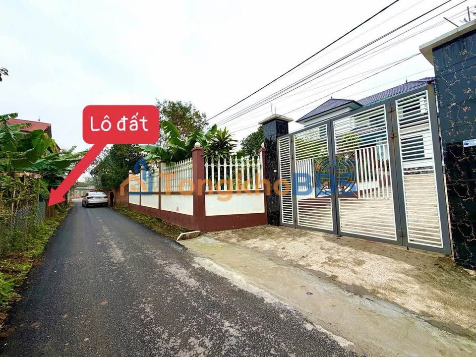 Đất nền Tam Dương 120m² 6xxtr - Hạ tầng hoàn thiện, đường nhựa