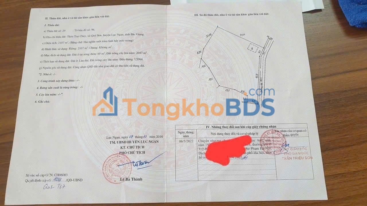 Farm Phượng Sơn Chũ 2100m² 1 tỷ - Đầu tư dài hạn