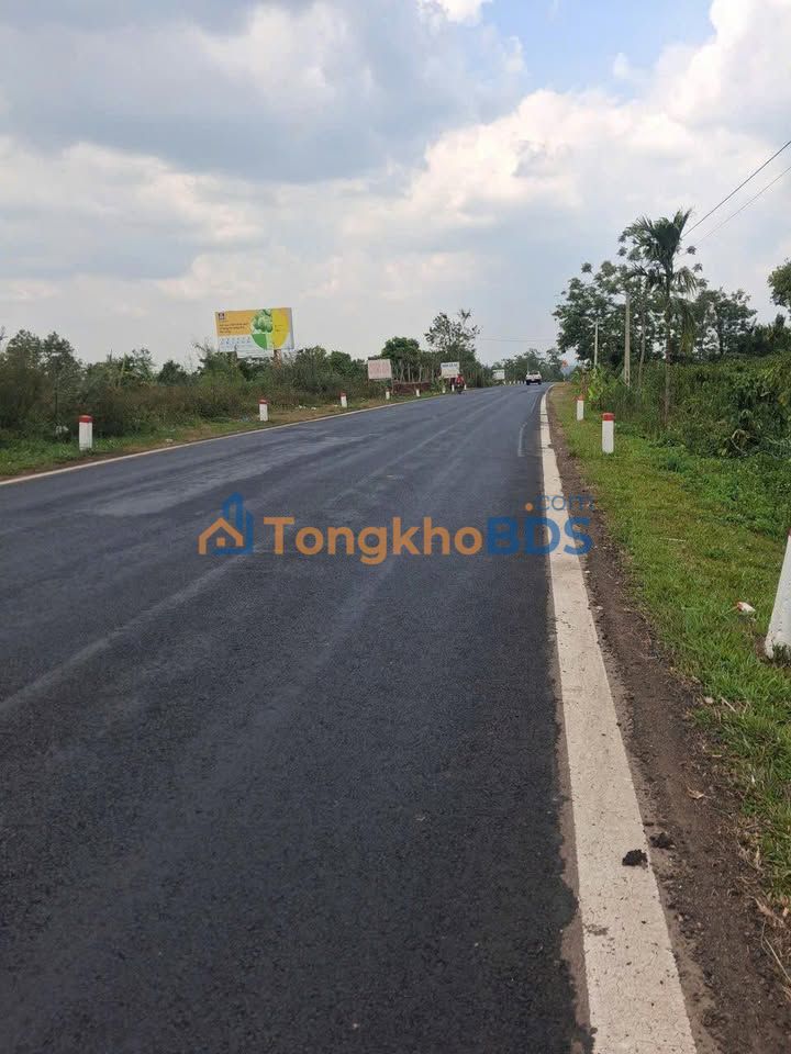 Đất đường tránh Tây Buôn Hồ 1440m² 2.55 tỷ - Đường to ô tô