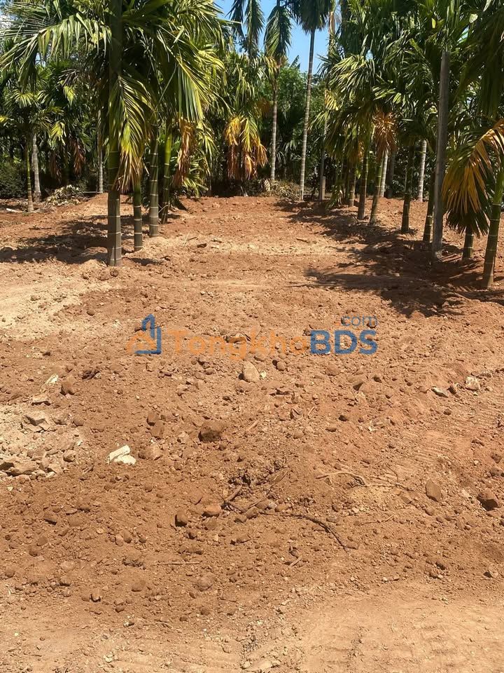 Đất nền Dray Bhăng Cư Kuin 60m² 4.32 tỷ - Đường ô tô