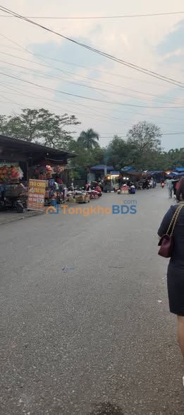 Đất nền Thanh Niên Hải Phòng 154m² giá 5 tỷ - Sổ đỏ chính chủ