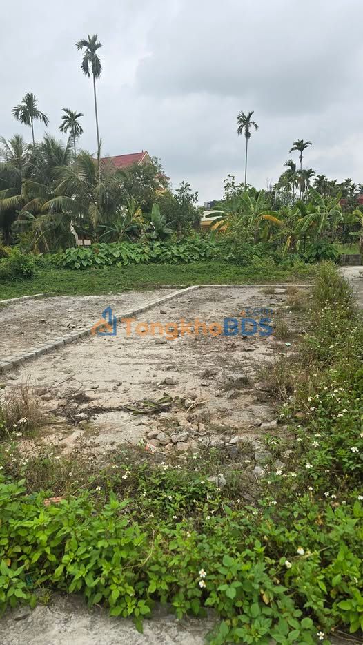 Đất An Lão, Hải Phòng 60m2 giá 600 triệu - Tiềm năng tăng giá