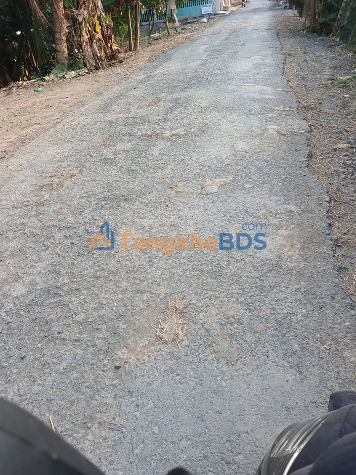 Đất vườn An Hữu Cái Bè 15.000m² 6 triệu/công - Đầu tư dài hạn