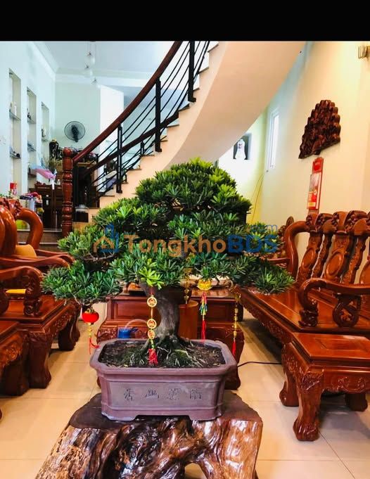 Nhà Hà Huy Tập Quy Nhơn 60m² giá 6 tỷ - Chính chủ bán