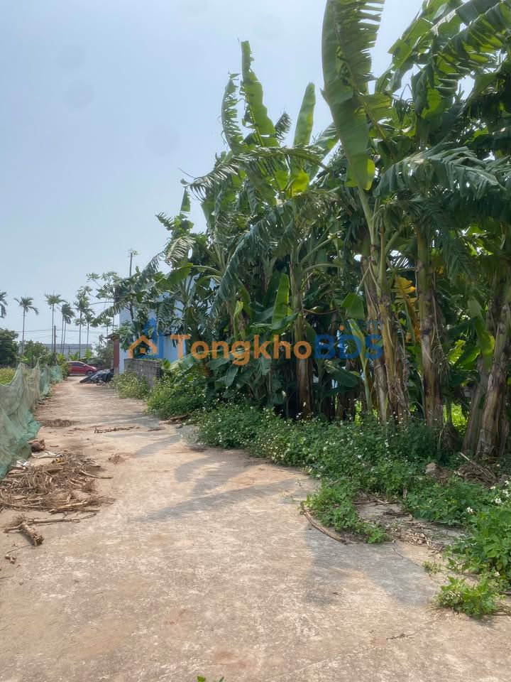 Đất nền Nam Thịnh Tiền Hải 131m² giá 5xx triệu - Sổ đỏ