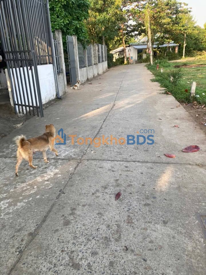 Đất P7 Trà Vinh 86m² 390 triệu - Tiềm năng tăng giá