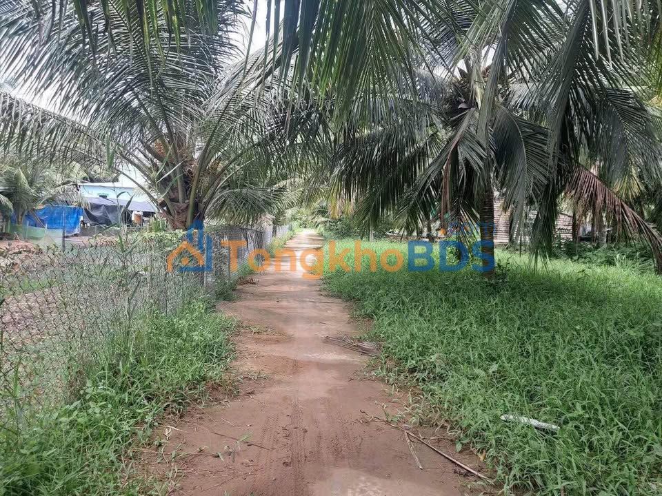 Đất nền Trà Vinh Phường 4 500m² 490 triệu - Sổ đỏ chính chủ