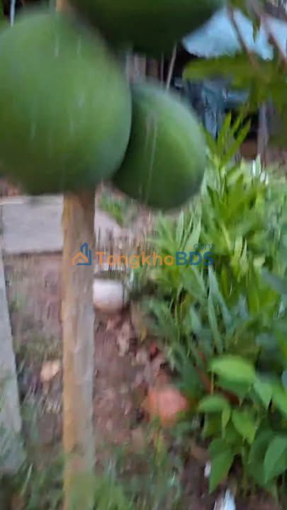 Đất Nghĩa Dõng Quảng Ngãi 104m² 7xx triệu - Đất thổ cư