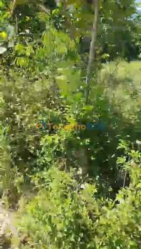 FrontHouse La Ha Tu Nghia 282m² 690tr - mat tien kinh doanh