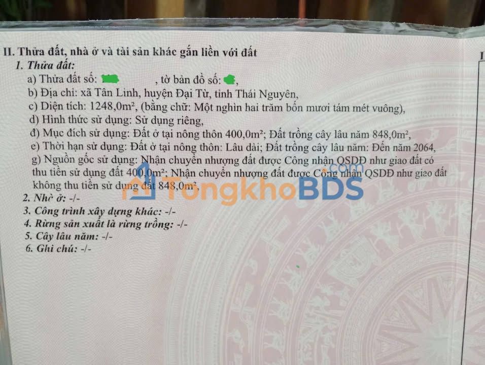 Đất nền Tân Linh Đại Từ 1970m² <1tr/m² - Giá F0 CĐT