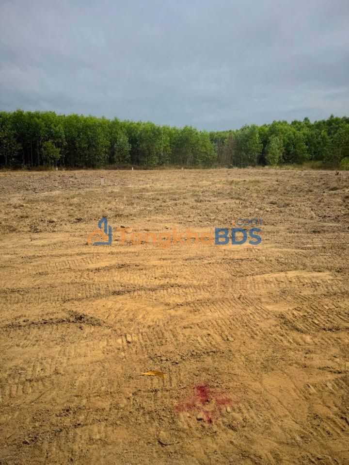 Đất Buôn Lác Ninh Tây 550m² - Sổ đỏ chính chủ