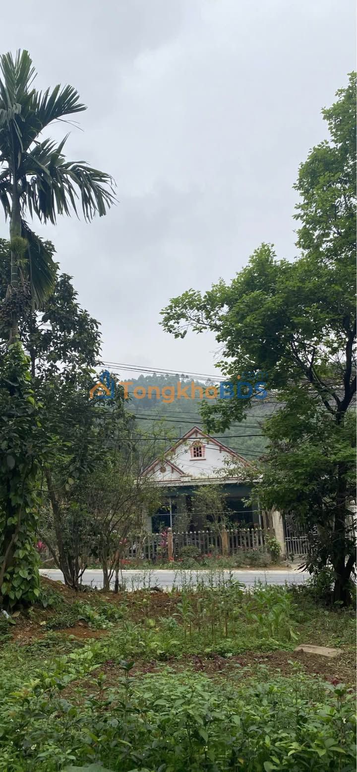 Đất nền Bắc Hà QL70 175m² 6xx triệu - Đường to ô tô