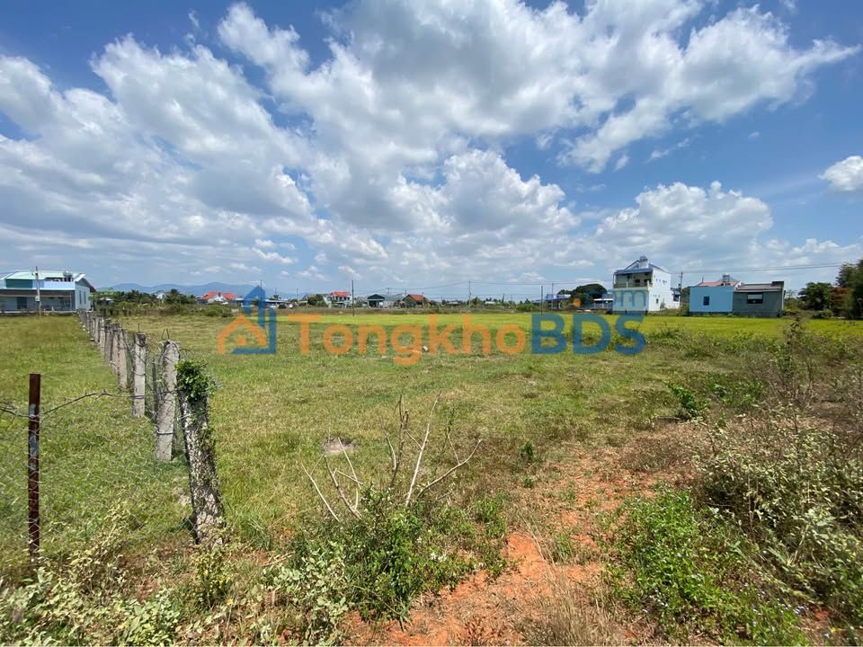 Đất thổ cư Hàm Liêm 1.359m² giá 1.4 tỷ - Sổ đỏ chính chủ